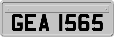 GEA1565