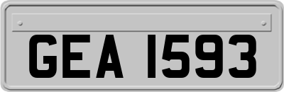 GEA1593