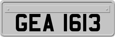 GEA1613