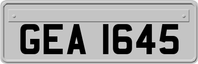 GEA1645