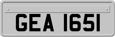 GEA1651