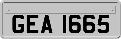GEA1665