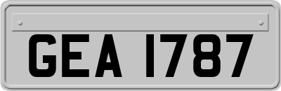 GEA1787