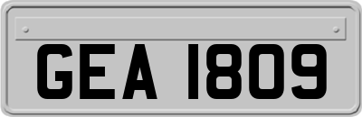 GEA1809