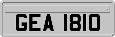 GEA1810