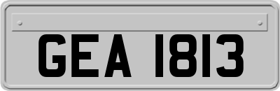 GEA1813