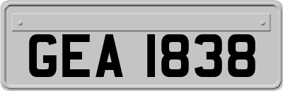 GEA1838
