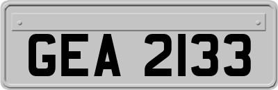 GEA2133
