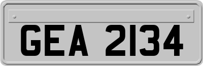 GEA2134