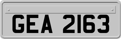 GEA2163
