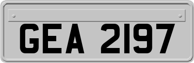 GEA2197