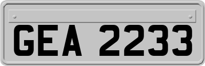 GEA2233