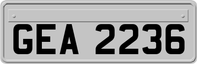 GEA2236