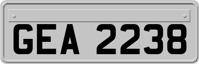 GEA2238
