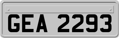 GEA2293