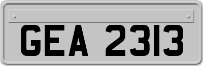 GEA2313