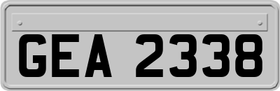 GEA2338