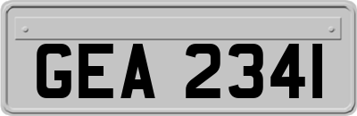 GEA2341