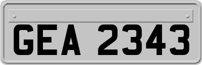 GEA2343
