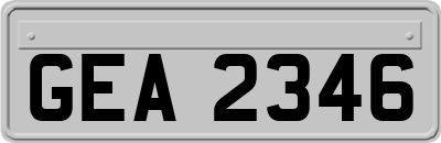 GEA2346