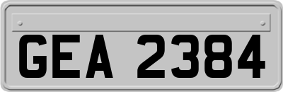 GEA2384