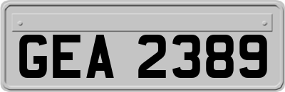 GEA2389