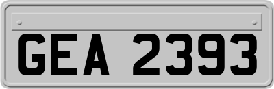 GEA2393