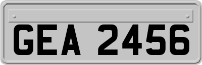 GEA2456