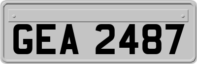GEA2487