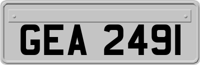 GEA2491