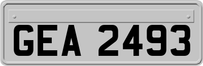 GEA2493