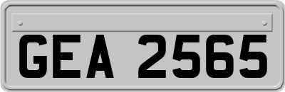 GEA2565