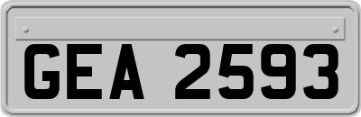 GEA2593