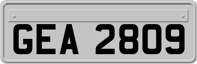 GEA2809