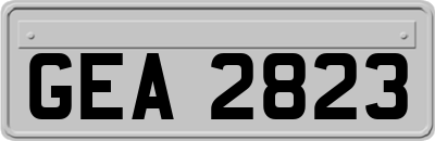 GEA2823