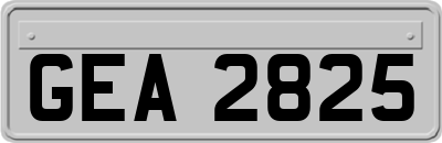 GEA2825