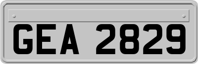 GEA2829