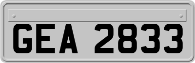 GEA2833