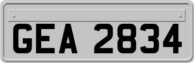 GEA2834
