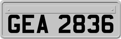 GEA2836