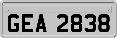 GEA2838
