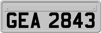 GEA2843