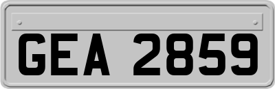 GEA2859