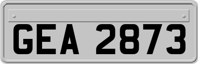 GEA2873