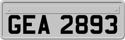 GEA2893