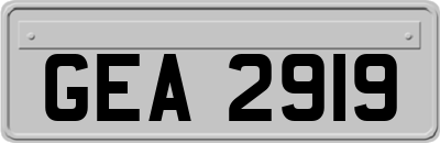 GEA2919