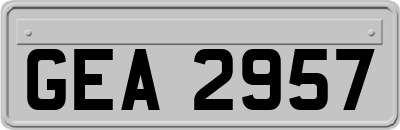 GEA2957