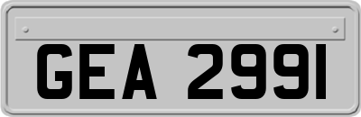 GEA2991