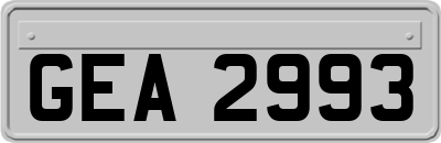 GEA2993