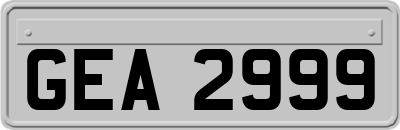 GEA2999